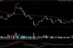 东吴证券上半年营收下降至亿元，财富管理和投行业务收入拖后腿