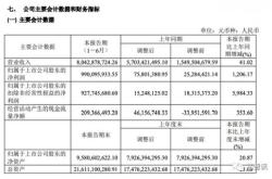 上半年增加消费医药与半导体布局，张坤：投资时对自己诚实十分重要