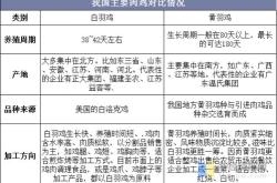 肯德基麦当劳纷纷卷入价格战，全球餐企面临成本高企消费疲软压力