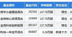 金鹰中小盘基金净值162102易基价值