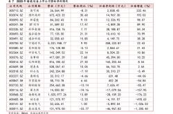 焦点科技财报