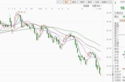 浙能电力获北向资金买入万元，居增持第位