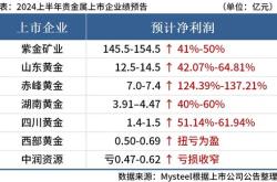 山东黄金：年半年度利润分配拟派元