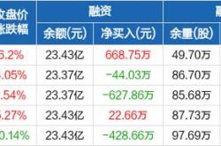 一、企业背景与市场地位