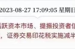 证券交易印花税是否纳入印花税法