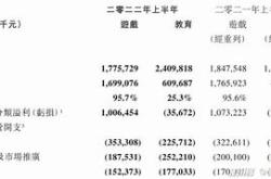 网龙公司新闻