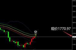 中金贵金属股票分析与投资建议