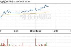 若安股票基金今日净值