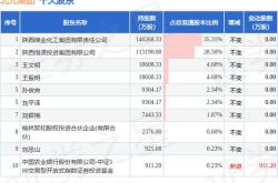 北元集团股票中签率解析