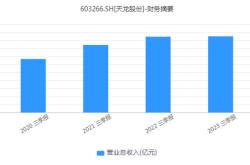 天龙股份股票行情