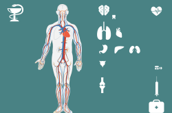 共同守护，疫情防控新政策，我们的健康新常态