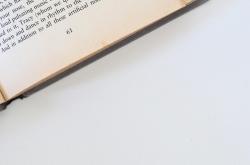 全面解析，寿险的分类及其重要性