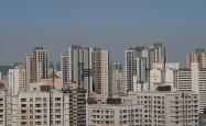 城市静默，全国封城措施下的挑战与希望