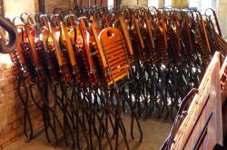 欧菲光股价动态，今日股市最新资讯解读