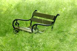 今日股市动态，深入解析与未来展望