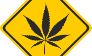 谱尼，科学检测的力量，守护健康与安全的盾牌