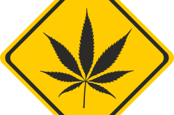 谱尼，科学检测的力量，守护健康与安全的盾牌