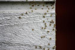 国泰民安，构建和谐社会的基石