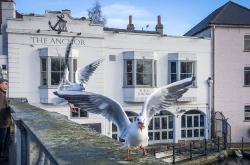 探索上海环境，城市发展与生态平衡的和谐共舞