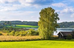 英伟达实时股票行情走势图最新，把握科技股脉搏，洞察投资先机