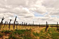 CPTPP，全球贸易新篇章，你我生活的影响