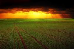 ST建峰，从辉煌到低谷，一个企业转型的启示录