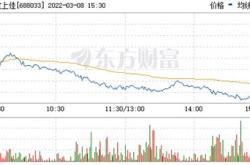 688033股票天宜上佳半年报