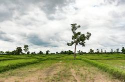 清明节休市，传统与现代生活的交汇点