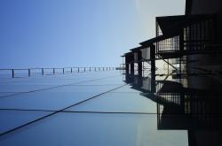 凤凰综合网888sse，揭秘网络世界的神秘角落