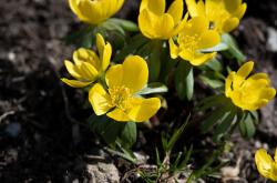 襄阳轴承厂，中国工业的心脏与现代化进程的见证者