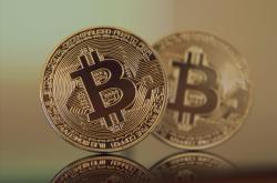 A股暂停IPO期间如何把握投资机会？深度解析市场调整期的价值挖掘策略