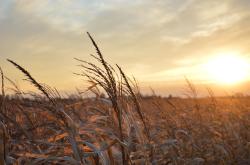 兰州长城电工：从西北电气先锋到智能新能源解决方案的便捷转型之路