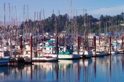 新股怎么申购简单流程：轻松掌握投资新机遇，避免常见误区