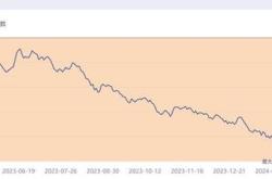 如何应对基金亏损的情况