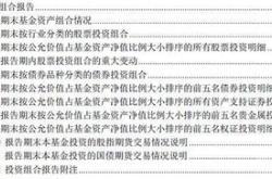 基金投资策略报告范文