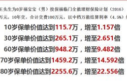 人寿高级理财方案解析