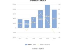 山东元利化学集团股份有限公司