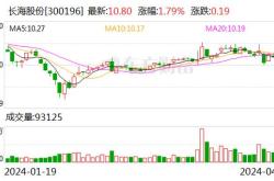 桐昆股份股票诊断