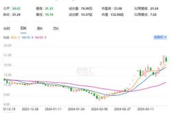 中关村基金发行价解析