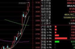 江苏天鼎证券陈崇群