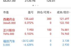 股票显示持仓100但可卖为0