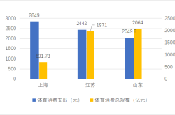 1.农民体育消费现状