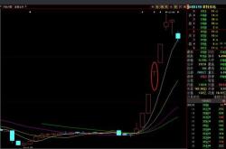 近期发行股票的上市公司