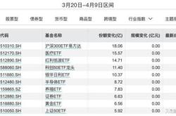 中银瑞信新金融股票基金