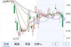 中弘股份退市了