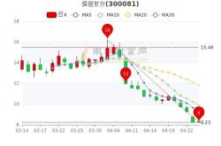 1.股票基本信息