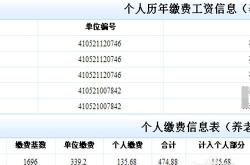 养老保险缴费清单在哪里可以查到