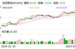 龙佰集团:上半年净利润24.35亿元 同比增88.33%