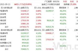 外高Ｂ股月日游资资金净买入现象深度解析