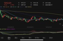 两大顶级游资单日投入上亿资金决战长安汽车